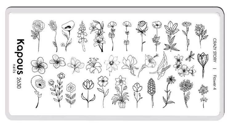 Kapous Nails Пластина для стемпинга "Crazy story" Flower 4