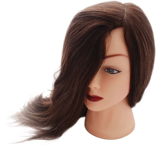 OLLIN Голова-манекен учебная "Шатен" длина волос 60см, 50% натур. + 50% синтет. волосы, штатив в комплекте