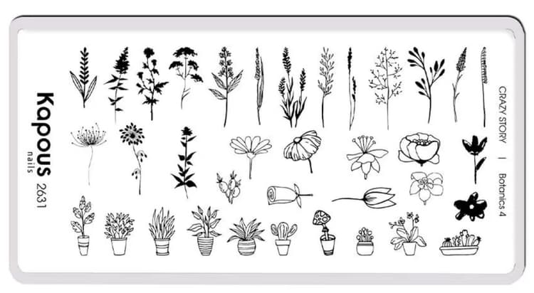 Kapous Nails Пластина для стемпинга "Crazy story" Botanics 4